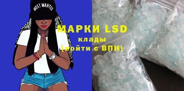 индика Абинск