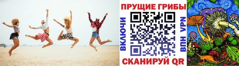 Псилоцибиновые грибы Cubensis Карасук