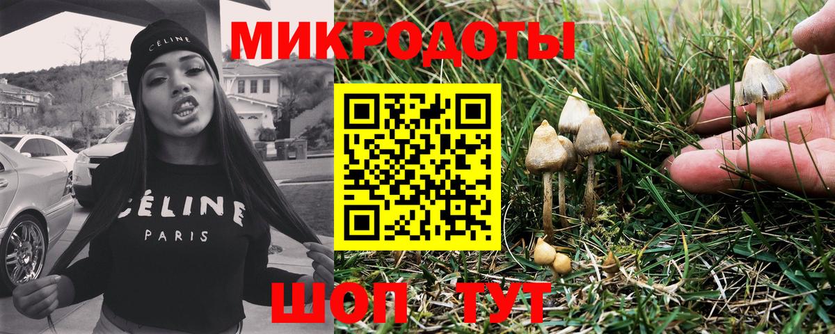 Псилоцибиновые грибы ЛСД  Галлюциногенные грибы MAGIC MUSHROOMS  Вход с VPN  Карасук 