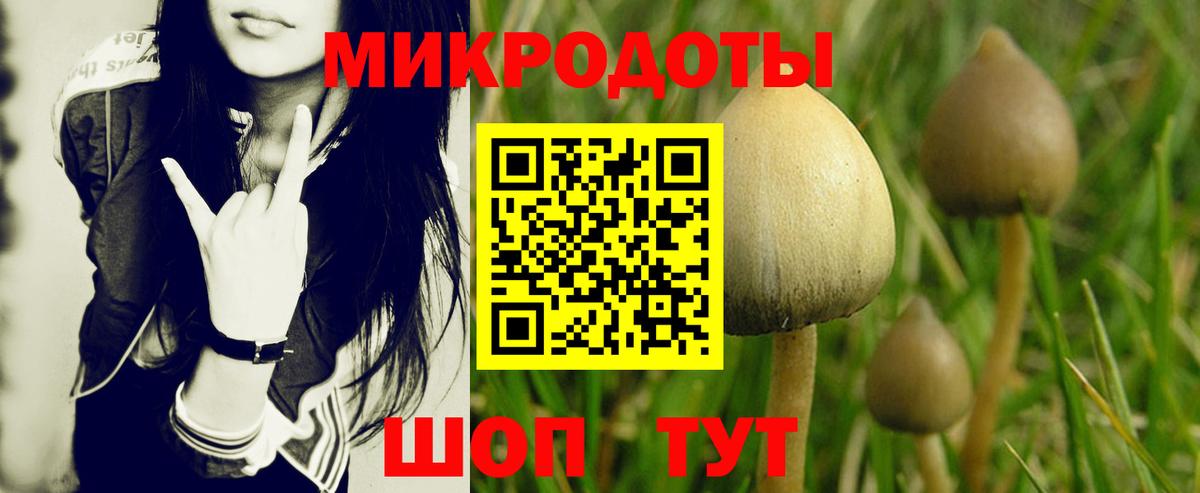 Галлюциногенные грибы Magic Shrooms Карасук